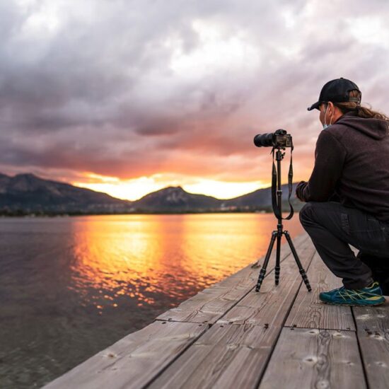Tapestry Photographic Journey Through Nature’s Timeless