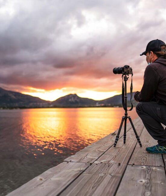Tapestry Photographic Journey Through Nature’s Timeless